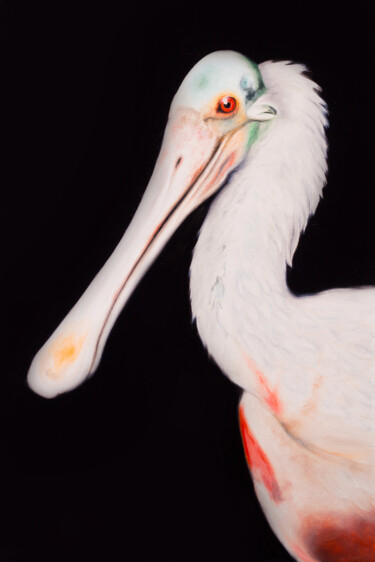 Painting titled "Spoonbill" by Svitlana Miku, Original Artwork, Oil