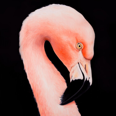 Schilderij getiteld "Pink flamingo" door Svitlana Miku, Origineel Kunstwerk, Olie