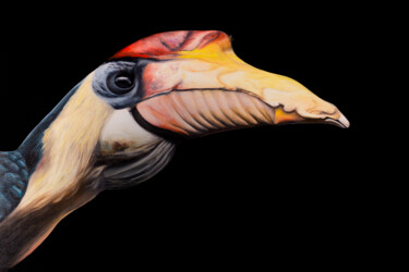 Painting titled "Wrinkled Hornbill" by Svitlana Miku, Original Artwork, Oil