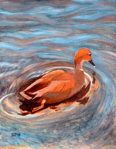 Malerei mit dem Titel "Gadwall" von Svitlana Tetokina, Original-Kunstwerk, Öl