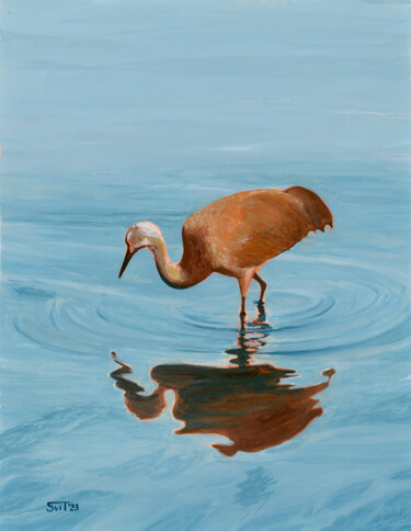 绘画 标题为“Sandhill Crane and…” 由Svitlana Tetokina, 原创艺术品, 水粉
