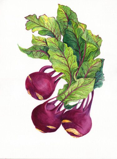 绘画 标题为“Purple Kohlrabi” 由Svitlana Yanyeva, 原创艺术品, 水彩