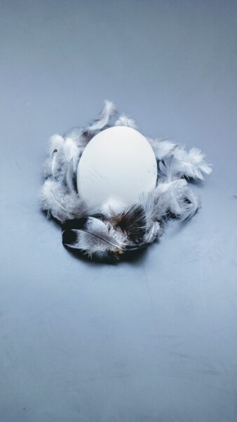 Photography titled "In Nest" by Svitlana Zenkov, Original Artwork