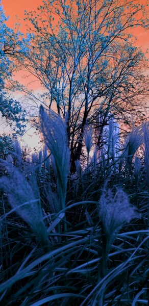 「Evening」というタイトルの写真撮影 Svitlana Zenkovによって, オリジナルのアートワーク