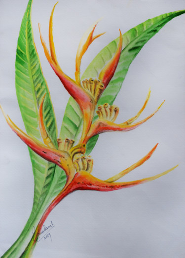 Painting titled "Crimson Claws" by Swendrini Gunasekara, Original Artwork, Watercolor Mounted on Other rigid panel