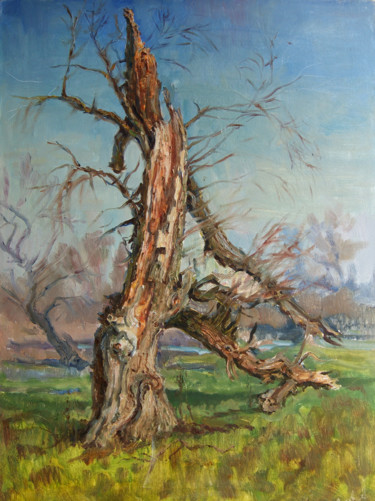 Painting titled "Старая верба.jpg" by Aleksandr Sychev, Original Artwork, Oil