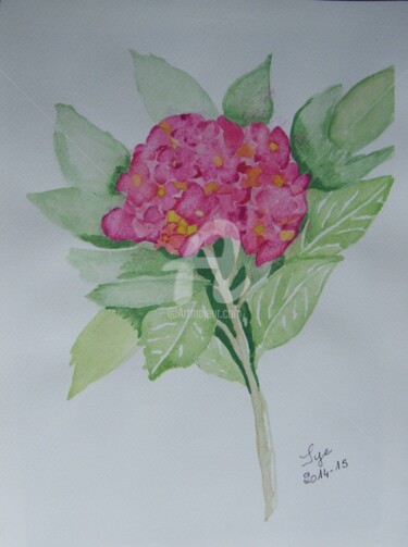 Painting titled "2014-15-L'hortensia" by Sye, Original Artwork, Watercolor