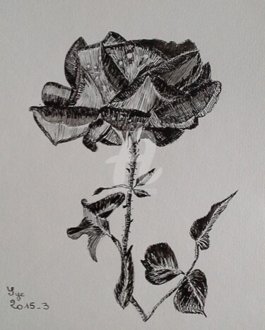 绘画 标题为“2015-3-une-rose” 由Sye, 原创艺术品, 墨