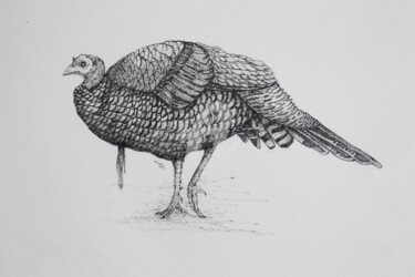 Рисунок под названием "Turkey 2" - Syed Akheel, Подлинное произведение искусства, Чернила