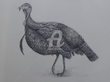 「Turkey 1 (pen and i…」というタイトルの描画 Syed Akheelによって, オリジナルのアートワーク, インク