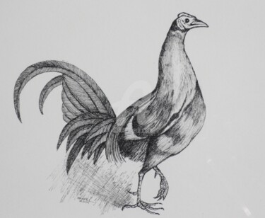 "Hen (pen and ink)" başlıklı Resim Syed Akheel tarafından, Orijinal sanat, Mürekkep