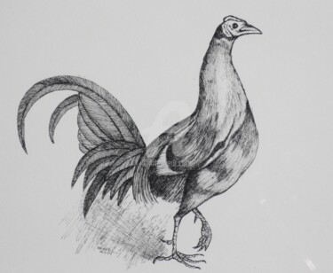 Rysunek zatytułowany „Hen (pen and ink)” autorstwa Syed Akheel, Oryginalna praca, Atrament