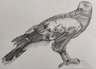 Desenho intitulada "Eagle Master piece…" por Syed Akheel, Obras de arte originais, Tinta