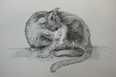 Desenho intitulada "CAT LIFE SIZE (pen…" por Syed Akheel, Obras de arte originais, Outro