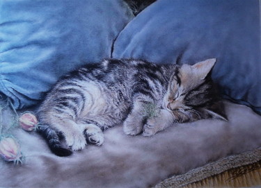 Peinture intitulée "Chaton endormi" par Sylvie Geneste, Œuvre d'art originale, Pastel