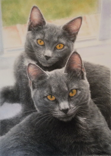 Schilderij getiteld "Chats Chartreux" door Sylvie Geneste, Origineel Kunstwerk, Pastel