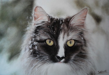 Painting titled "Chat Maine Coon" by Sylvie Geneste, Original Artwork, Pastel