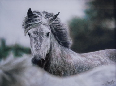 Peinture intitulée "Poney Connemara" par Sylvie Geneste, Œuvre d'art originale, Pastel