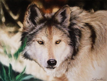 Painting titled "Loup gris du Mexique" by Sylvie Geneste, Original Artwork, Pastel