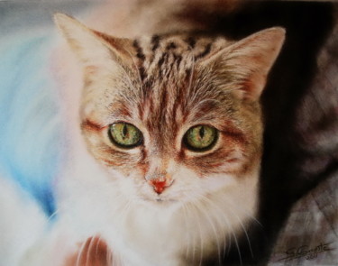 Painting titled "Mimine" by Sylvie Geneste, Original Artwork, Pastel