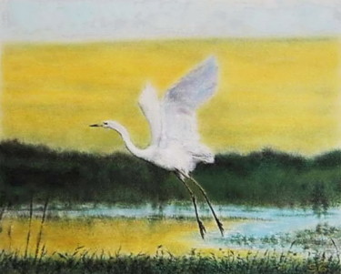 Peinture intitulée "Aigrette blanche" par Sylvie Geneste, Œuvre d'art originale, Pastel