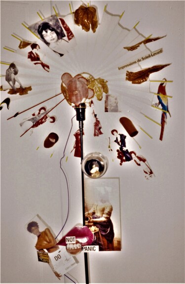 Sculpture titled "Impression du solei…" by Sylvain Zabeth, Original Artwork, Collages