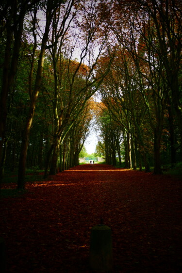 Photographie intitulée "ballade 8" par Sylvain Aubry (sylvain Aubrys), Œuvre d'art originale, Photographie non manipulée