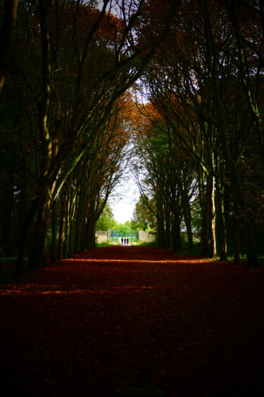 Photographie intitulée "ballade 5  st germa…" par Sylvain Aubry (sylvain Aubrys), Œuvre d'art originale, Photographie non ma…