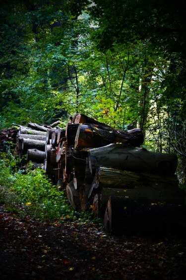 Photographie intitulée "ballade 1" par Sylvain Aubry (sylvain Aubrys), Œuvre d'art originale, Photographie non manipulée