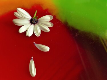 Photographie intitulée "peinture + fleur" par Sylvain Aubry (sylvain Aubrys), Œuvre d'art originale, Photographie non manipu…