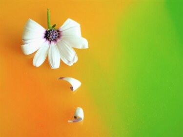 摄影 标题为“peinture + fleur  "…” 由Sylvain Aubry (sylvain Aubrys), 原创艺术品, 非操纵摄影