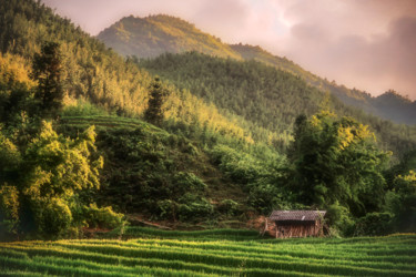 Photographie intitulée "Sapa et ses rizières" par Sylvain Manguer, Œuvre d'art originale