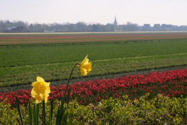 Fotografie getiteld "The Netherlands I" door Sylvestre Bonnet, Origineel Kunstwerk, Niet gemanipuleerde fotografie