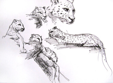 Rysunek zatytułowany „Paris - Zoo de la M…” autorstwa Sylvia Baldeva, Oryginalna praca, Marker