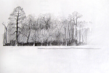 Drawing titled "Paris - Paysage nat…" by Sylvia Baldeva, Original Artwork, Graphite