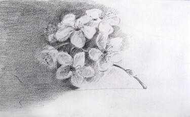 Drawing titled "Paris - Jardin natu…" by Sylvia Baldeva, Original Artwork, Graphite