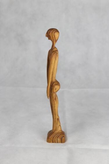 雕塑 标题为“Zebranomann” 由Sylvia Gnatz, 原创艺术品, 木