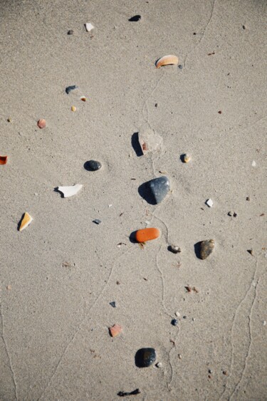 Photography titled "Beach treasures" by Sylvia Haghjoo, Original Artwork, Digital Photography
