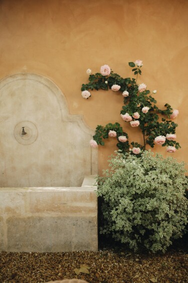 Fotografia zatytułowany „Provençal rose gard…” autorstwa Sylvia Haghjoo, Oryginalna praca, Fotografia cyfrowa