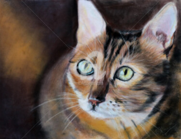 Painting titled "Regard de chat" by Sylvie Blandin, Original Artwork, Pastel