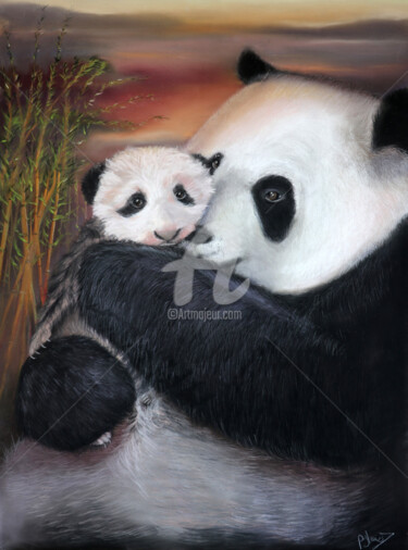 Painting titled "Panda géant -  Bébé…" by Sylvie Blandin, Original Artwork, Pastel