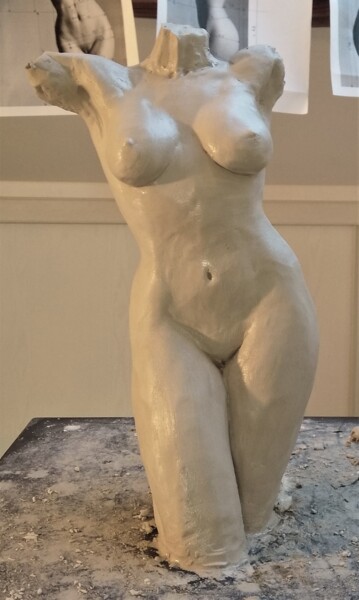 Sculpture intitulée "étape6" par Sylvie Bourély (SB), Œuvre d'art originale, Argile