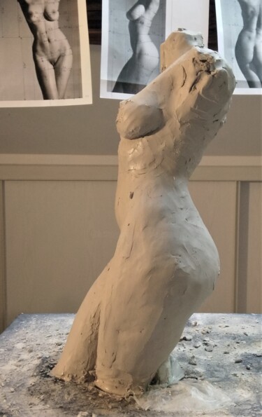 Sculpture intitulée "étape5" par Sylvie Bourély (SB), Œuvre d'art originale, Argile