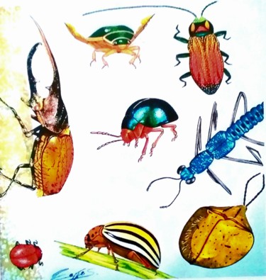 Peinture intitulée "Coléoptères" par Sylvie Cappe, Œuvre d'art originale, Aquarelle