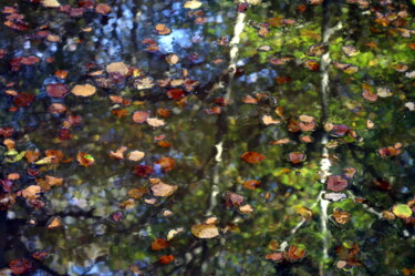 Photography titled ""Un jour d'automne"" by Sylvie Chapuis, Original Artwork, Non Manipulated Photography