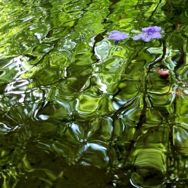 Photography titled "Jardin impressionni…" by Sylvie Chapuis, Original Artwork, Non Manipulated Photography