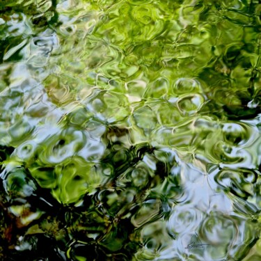 Photography titled "Nuances 6" by Sylvie Chapuis, Original Artwork, Non Manipulated Photography