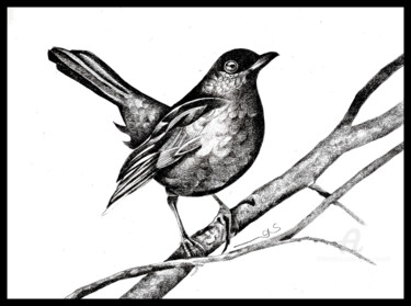 Dessin intitulée "Mon oiseau de pluie" par Sylvie Chauvin, Œuvre d'art originale, Crayon