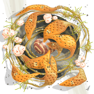 Graines d'orange Arts numériques intitulée "Graines d'orange" par Sylvie Dessert (Syl), Œuvre d'art originale, Travail numérique 2D
