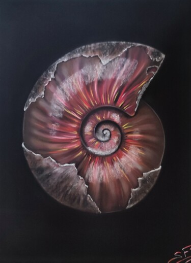 Рисунок под названием "Ammonite" - Sylvie F. Pastel Art, Подлинное произведение искусства, Пастель